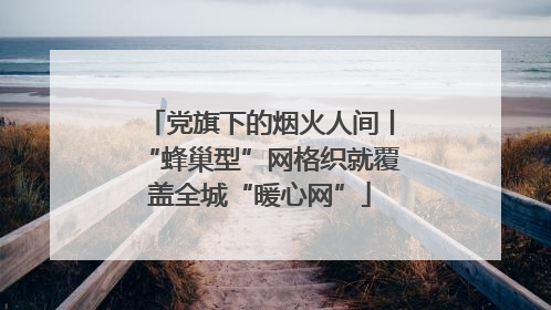 党旗下的烟火人间丨“蜂巢型”网格织就覆盖全城“暖心网”