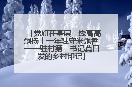 党旗在基层一线高高飘扬丨十年驻守米飘香——驻村第一书记莫日发的乡村印记