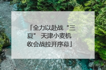 全力以赴战“三夏” 天津小麦机收会战拉开序幕