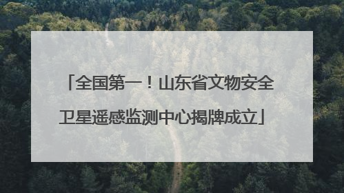 全国第一！山东省文物安全卫星遥感监测中心揭牌成立
