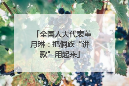 全国人大代表董月琳：把侗族“讲款”用起来
