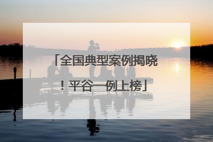 全国典型案例揭晓！平谷一例上榜