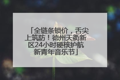 全链条锁价，舌尖上筑防！德州天衢新区24小时硬核护航新青年音乐节