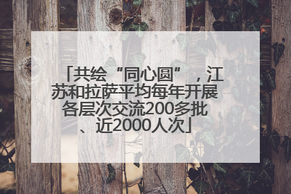 共绘“同心圆”，江苏和拉萨平均每年开展各层次交流200多批、近2000人次