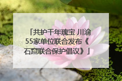 共护千年瑰宝 川渝55家单位联合发布《石窟联合保护倡议》
