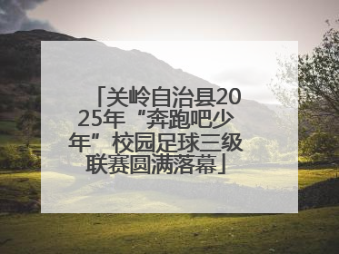 关岭自治县2025年“奔跑吧少年”校园足球三级联赛圆满落幕