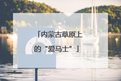 内蒙古草原上的“爱马士”