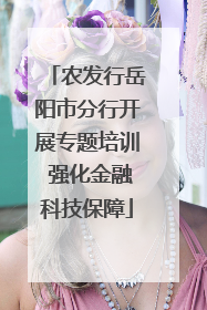 农发行岳阳市分行开展专题培训 强化金融科技保障