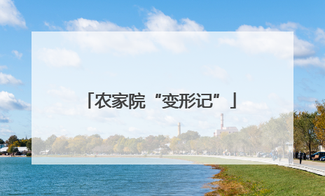 农家院“变形记”