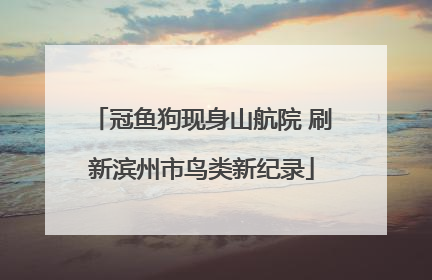 冠鱼狗现身山航院 刷新滨州市鸟类新纪录