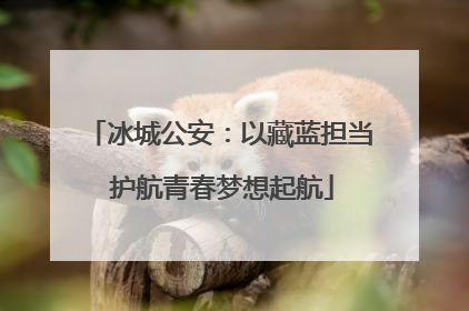 冰城公安：以藏蓝担当 护航青春梦想起航