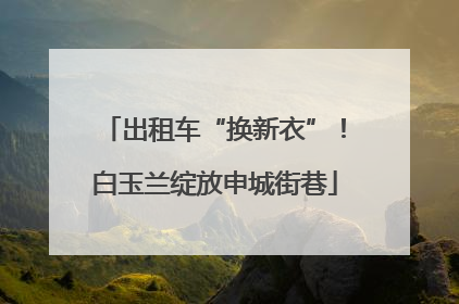 出租车“换新衣”！白玉兰绽放申城街巷