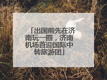 出国前先在济南玩一圈，济南机场首迎国际中转旅游团