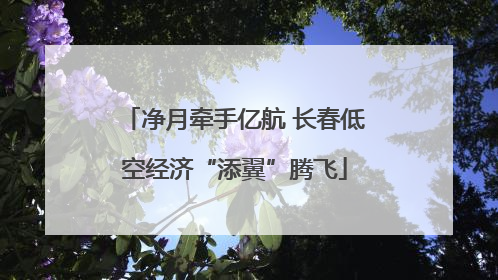 净月牵手亿航 长春低空经济“添翼”腾飞