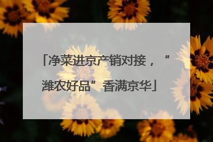 净菜进京产销对接，“潍农好品”香满京华