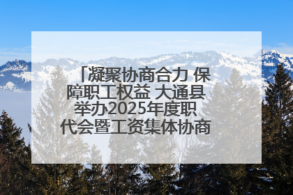 凝聚协商合力 保障职工权益 大通县举办2025年度职代会暨工资集体协商现场观摩交流活动