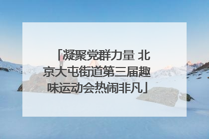 凝聚党群力量 北京大屯街道第三届趣味运动会热闹非凡