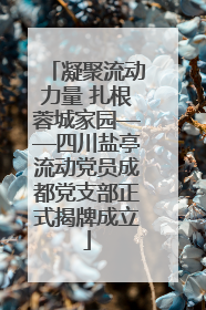 凝聚流动力量 扎根蓉城家园——四川盐亭流动党员成都党支部正式揭牌成立