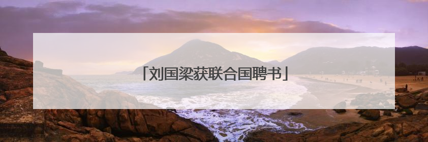 刘国梁获联合国聘书