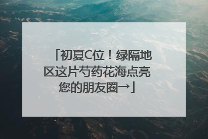 初夏C位！绿隔地区这片芍药花海点亮您的朋友圈→