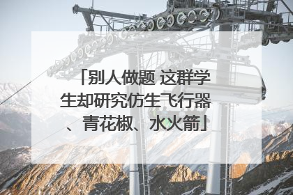 别人做题 这群学生却研究仿生飞行器、青花椒、水火箭