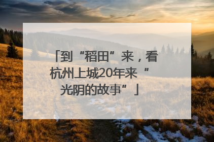 到“稻田”来，看杭州上城20年来“光阴的故事”