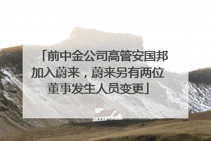 前中金公司高管安国邦加入蔚来，蔚来另有两位董事发生人员变更