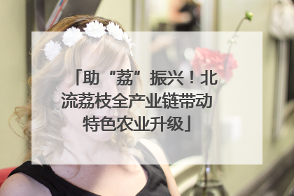 助“荔”振兴！北流荔枝全产业链带动特色农业升级