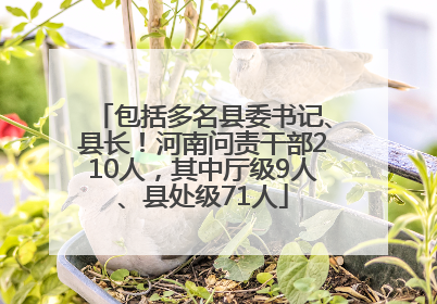 包括多名县委书记、县长！河南问责干部210人，其中厅级9人、县处级71人