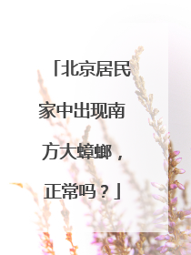 北京居民家中出现南方大蟑螂，正常吗？