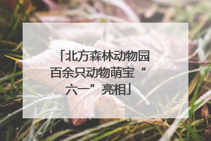 北方森林动物园百余只动物萌宝“六一”亮相