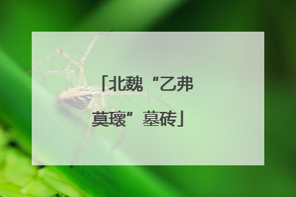 北魏“乙弗莫瓌”墓砖