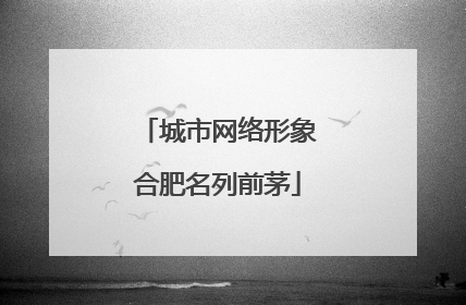 城市网络形象合肥名列前茅