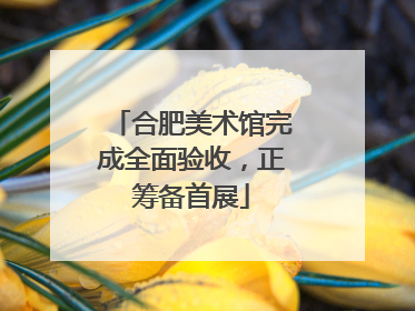 合肥美术馆完成全面验收，正筹备首展