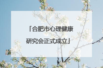 合肥市心理健康研究会正式成立