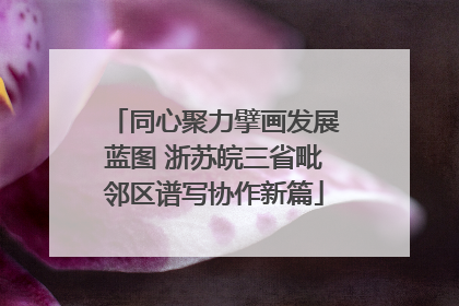同心聚力擘画发展蓝图 浙苏皖三省毗邻区谱写协作新篇