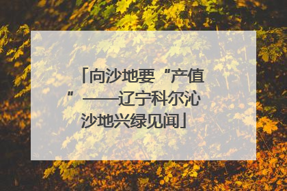 向沙地要“产值”——辽宁科尔沁沙地兴绿见闻