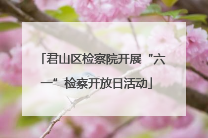 君山区检察院开展“六一”检察开放日活动