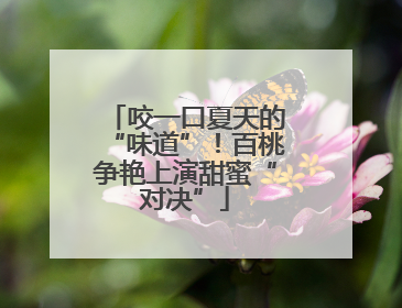 咬一口夏天的“味道”！百桃争艳上演甜蜜“对决”