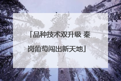 品种技术双升级 秦岗葡萄闯出新天地