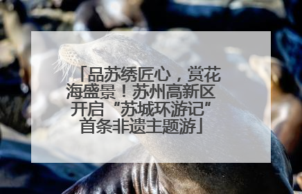 品苏绣匠心，赏花海盛景！苏州高新区开启“苏城环游记”首条非遗主题游