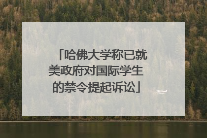 哈佛大学称已就美政府对国际学生的禁令提起诉讼