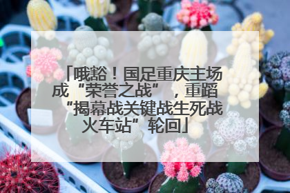 哦豁！国足重庆主场成“荣誉之战”，重蹈“揭幕战关键战生死战火车站”轮回