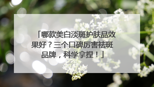 哪款美白淡斑护肤品效果好?三个口碑厉害祛斑品牌,科学拿捏!