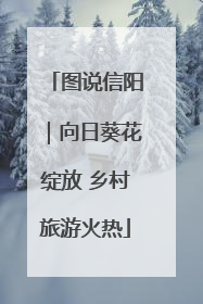 图说信阳｜向日葵花绽放 乡村旅游火热