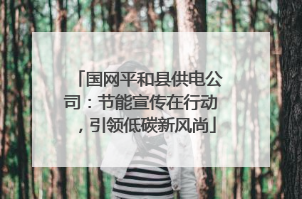 国网平和县供电公司：节能宣传在行动，引领低碳新风尚