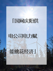 国网庆阳供电公司电力赋能桃花经济