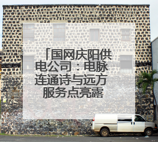 国网庆阳供电公司：电脉连通诗与远方 服务点亮露营之光