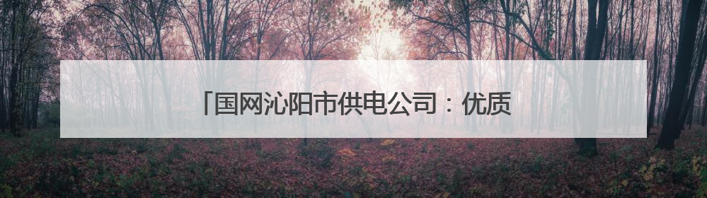 国网沁阳市供电公司：优质电力服务赋能凉皮产业飘香