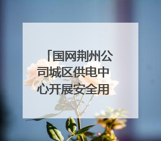 国网荆州公司城区供电中心开展安全用电宣传活动